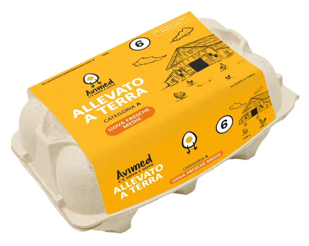 Allevate a terra